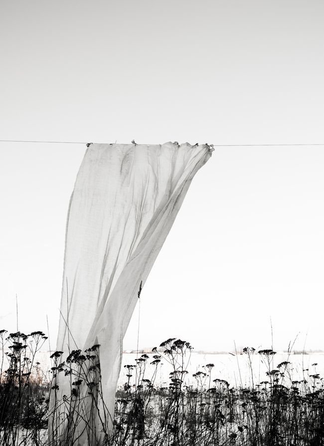 ‘Le vent se lève!… Il faut tenter de vivre!.

Paul Valèry