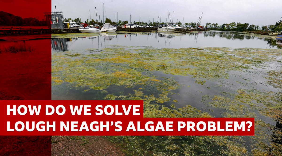 All day across BBC News NI we'll be looking at the environmental issues blighting #LoughNeagh and how to fix them. Follow all our live coverage here - starting with the Good Morning Ulster team broadcasting from the water's edge. bbc.in/3PF7zLj