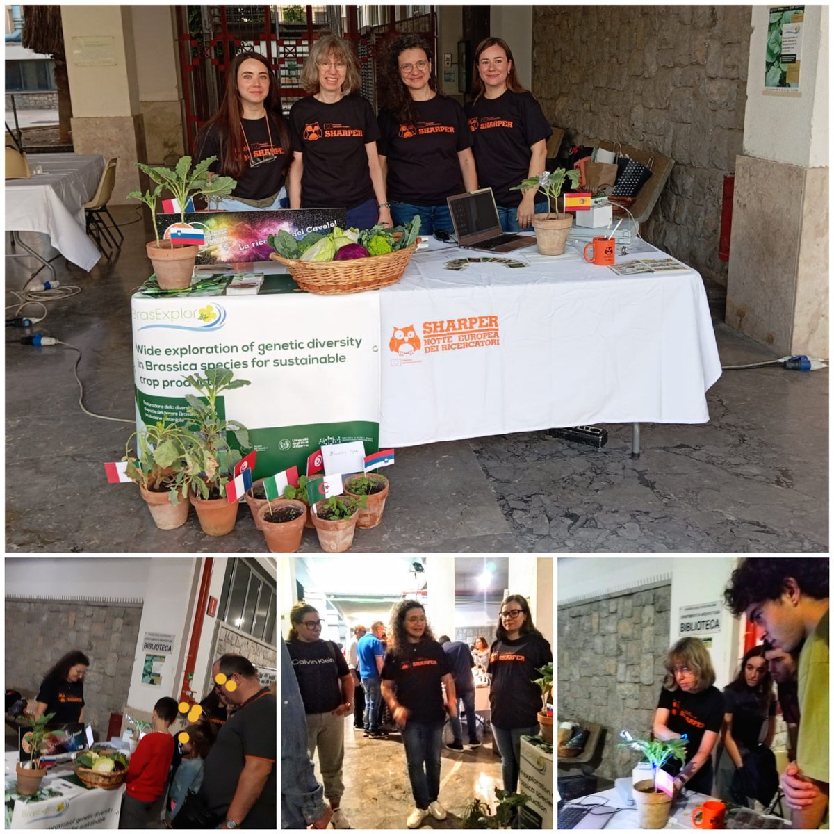 Great success of public at the Sharper Researchers' Night Event in Palermo (Italy), September 29th, talking about <a href="/BrasExplor/">BrasExplor</a>!
#Brassica 
#sharpernight #EuropeanResearchersNight 
<a href="/PrimaProgram/">PRIMA Program Mediterranean Partnership 🇪🇺</a>