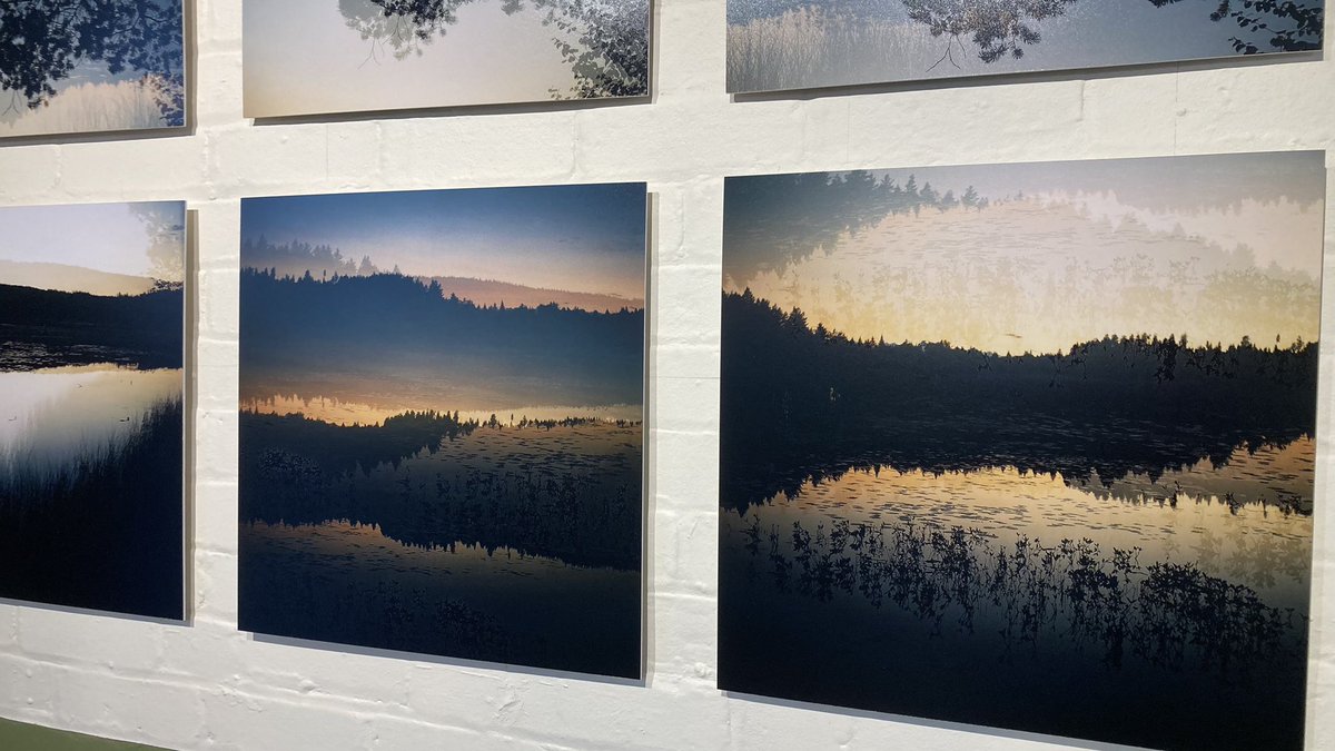 Fresh work! Metamorphosis Series 4 is showing now at <a href="/sunnybankmills/">Sunny Bank Mills</a> as part of Woven Stories - a very special exhibition celebrating ten years of art &amp; culture at the Mill

I’m honoured to be a part of Sunny Bank’s history 😌 

On until December 23rd

sunnybankmills.co.uk/woven-stories/