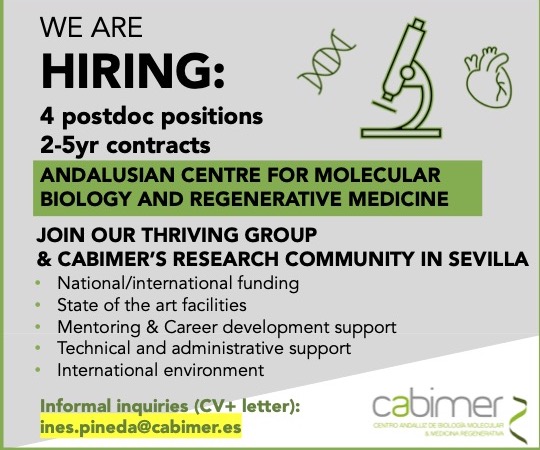 📢📢📢
We have 🌟fully funded postdoc positions🌟 in my group in Sevilla, a beautiful city with one of the best quality of life.

Interested in metabolism? Cardiovascular disease? Sex hormone regulation? Sex differences in cardiovascular risk?
Look no further!
Get in touch!