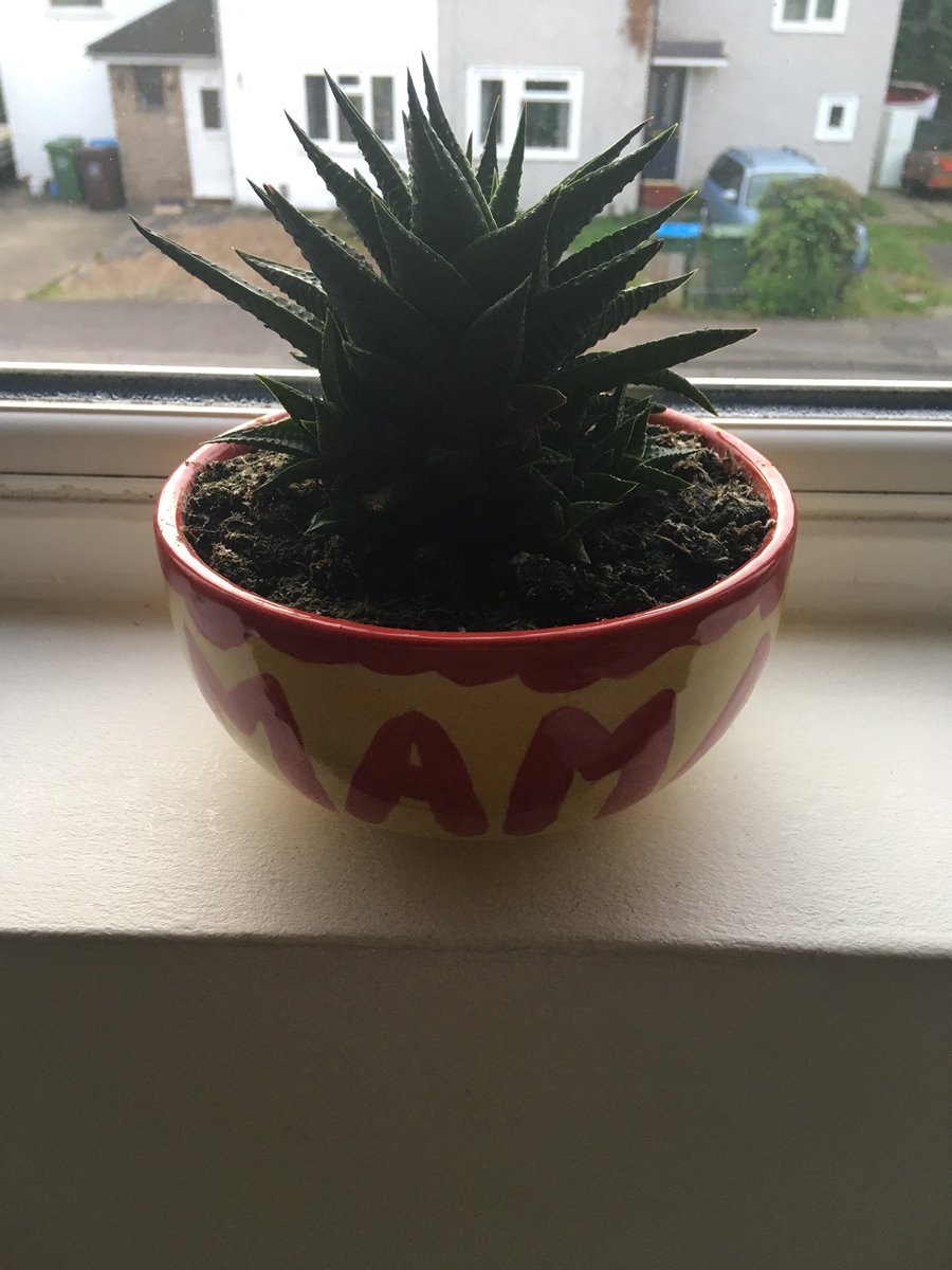 SusanMoorehouse's tweet photo. @ImSallyLouise This is my bad boy - so innocent compared to yours https://t.co/71At8Pldxm