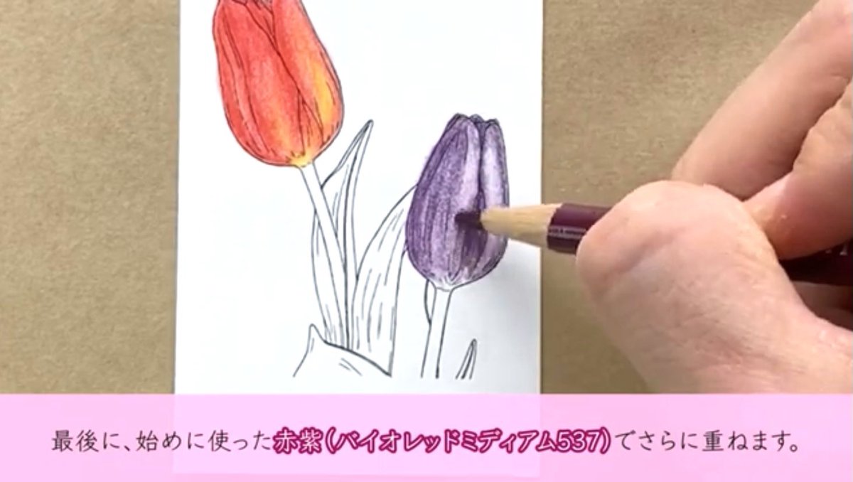 coloringdecorat's tweet photo. 「小さい塗り絵 美しい花」
チューリップ制作過程の一部分です。

↓塗り方解説動画公開中
https://t.co/GSKtPxvzq2

#塗り絵　#色鉛筆
#絵描きさんと繋がりたい
#みんなで色鉛筆イラスト見せ合おうよ https://t.co/iY4U7TiDtf