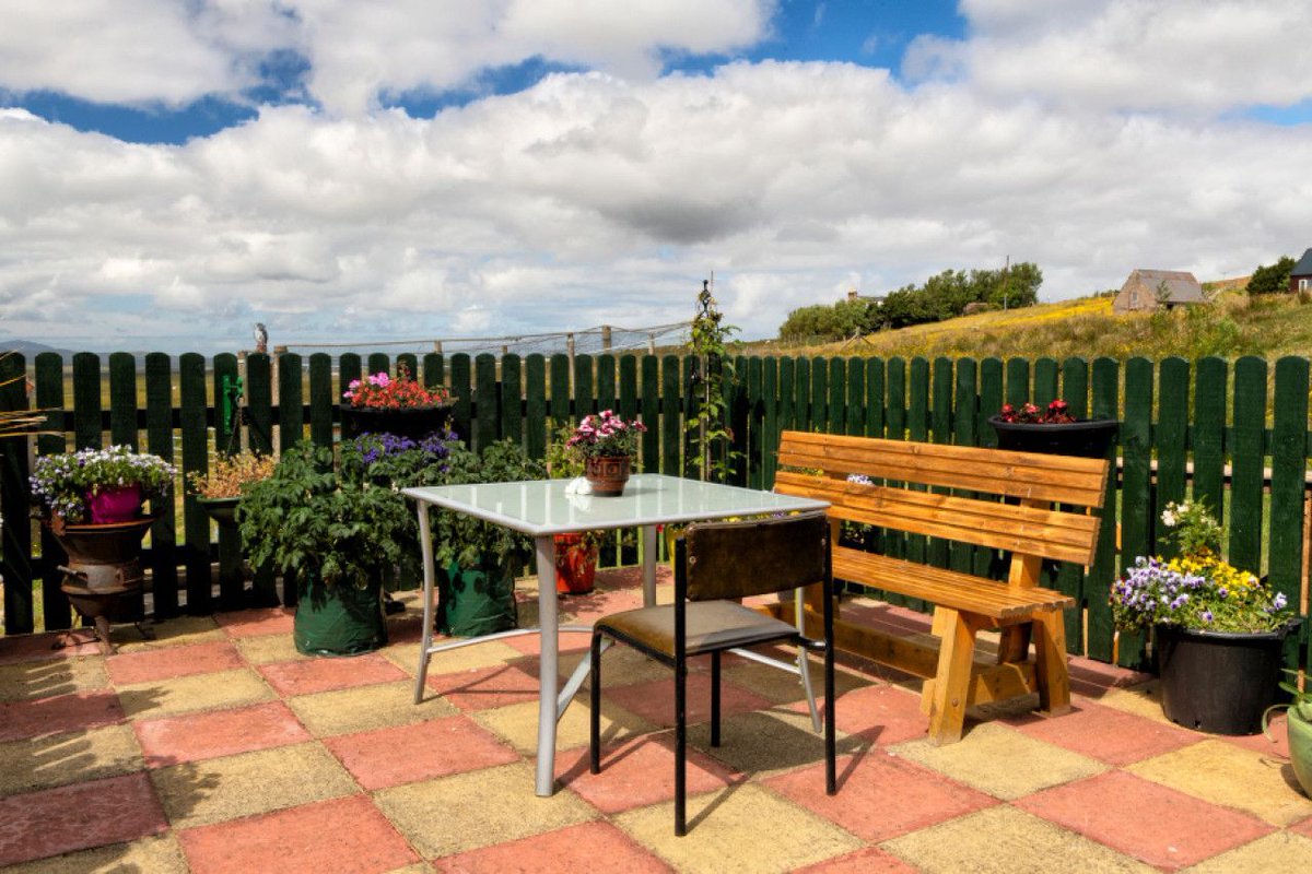 🇺🇦 Cassie Bouverie Website Strategist 🇺🇦 tweet media