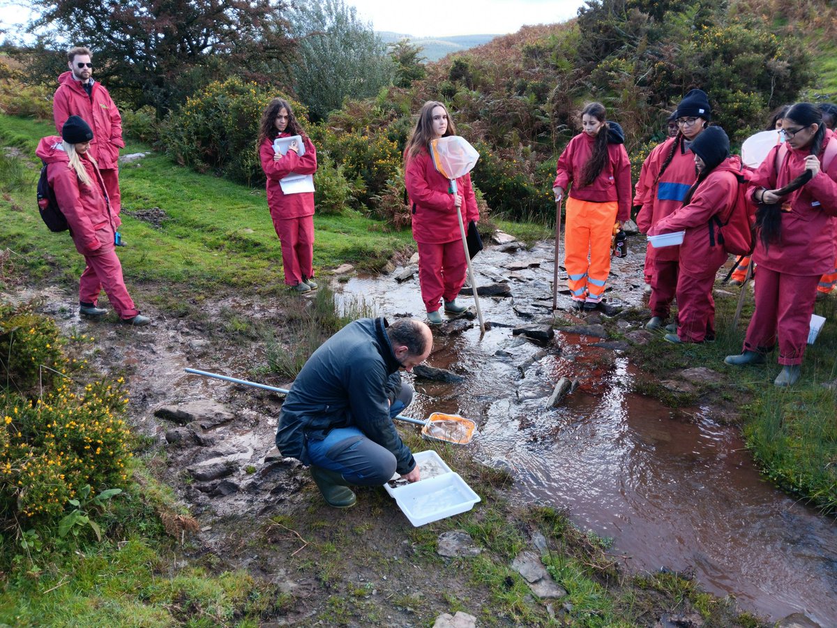 Trewern OEC tweet media