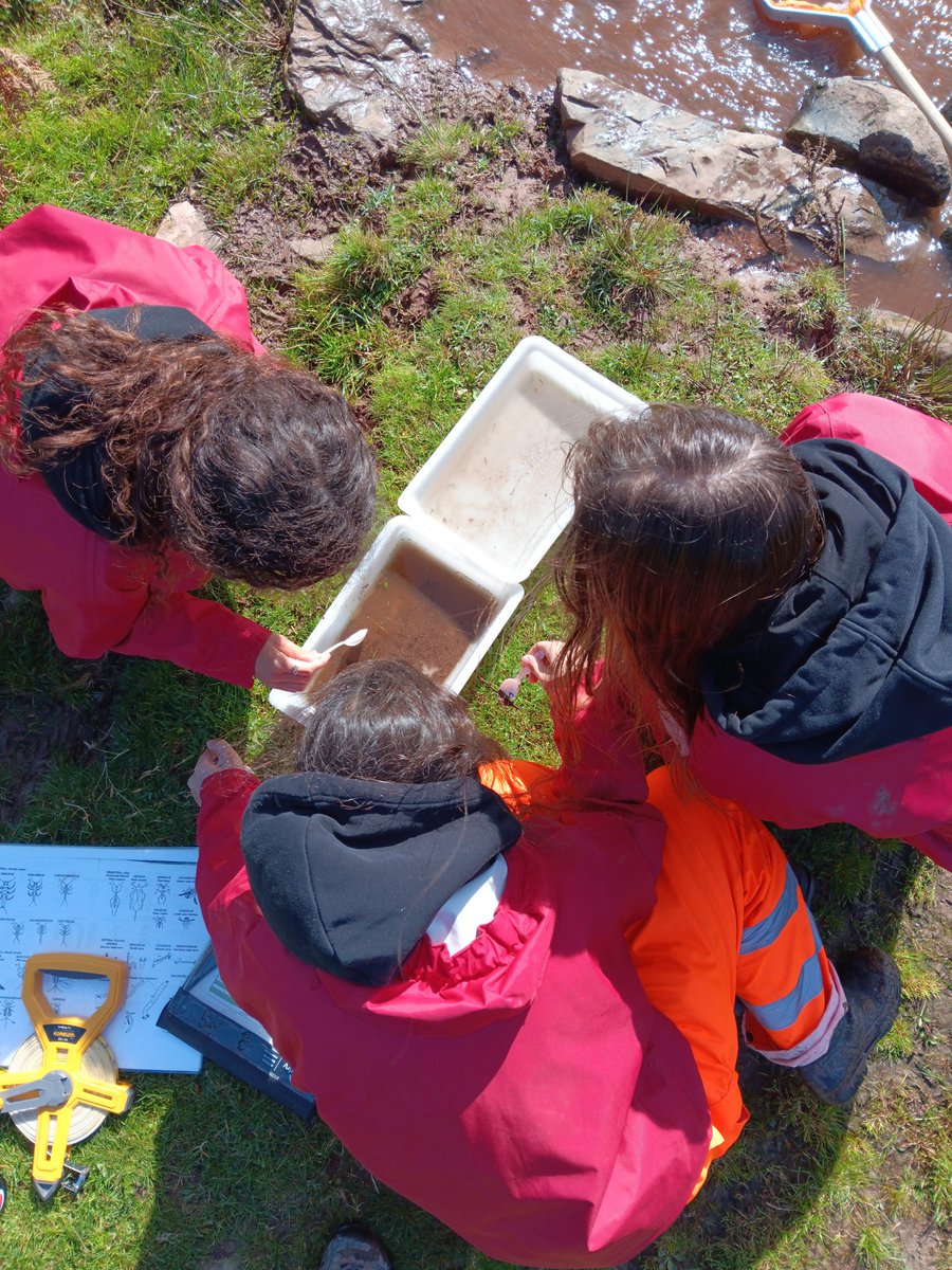 Trewern OEC tweet media