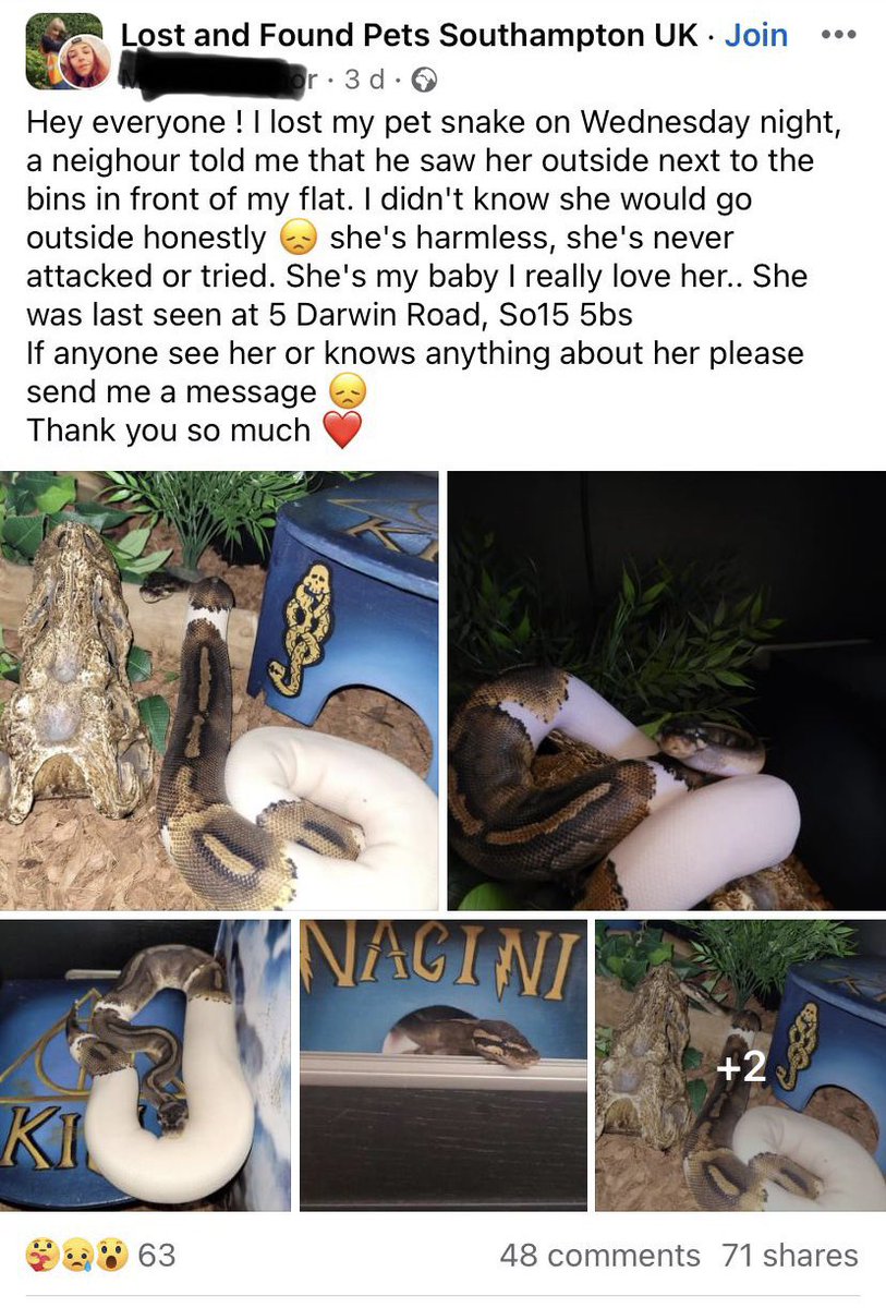 Chris Samson tweet media