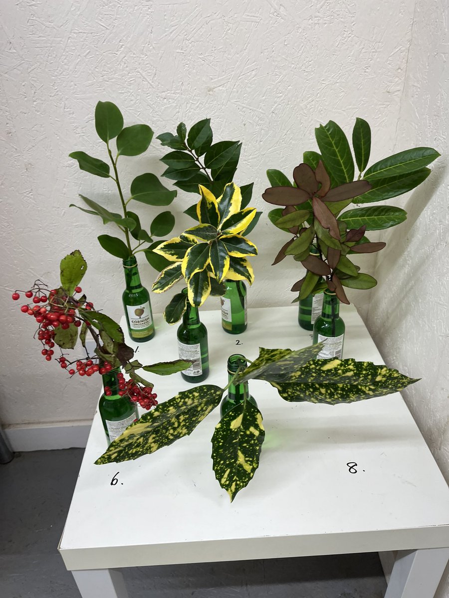 Trewithengarden's tweet photo. Morning with me on #mycommute is the first of @ millie.gardening (over on the @instagram) weekly plant idents! How well would you do? (Meant to be 5plants but we got a bit excited and did 7…. Going for 10 next week! Wish her luck 🤔😎)@The_RHS @CwllGardenSoc #masterandapprentice https://t.co/tCCgbsqKeH