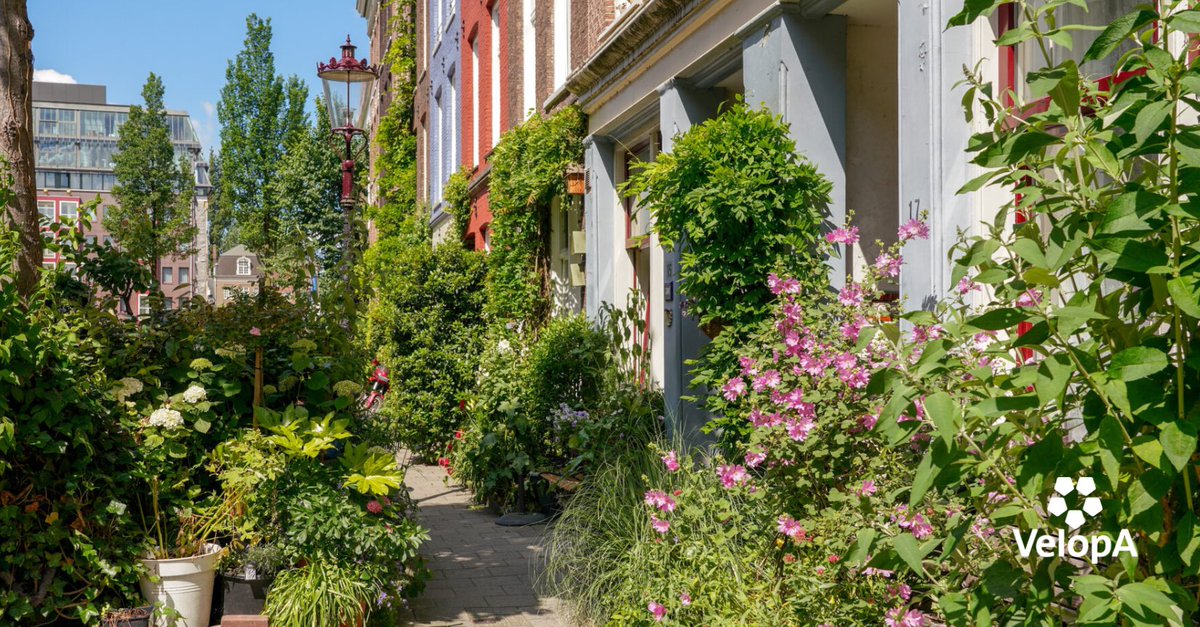 🌿 𝗗𝗲 𝘃𝗼𝗼𝗿𝗱𝗲𝗹𝗲𝗻 𝘃𝗮𝗻 𝗴𝗿𝗼𝗲𝗻 𝗶𝗻 𝗱𝗲 𝘀𝘁𝗮𝗱. Gemeenten maken serieus werk van vergroening en niet zonder reden. Uit wetenschappelijk onderzoek blijkt dat groen een positief effect heeft op diverse aspecten. Bekijk de voordelen: bit.ly/48HCYFB