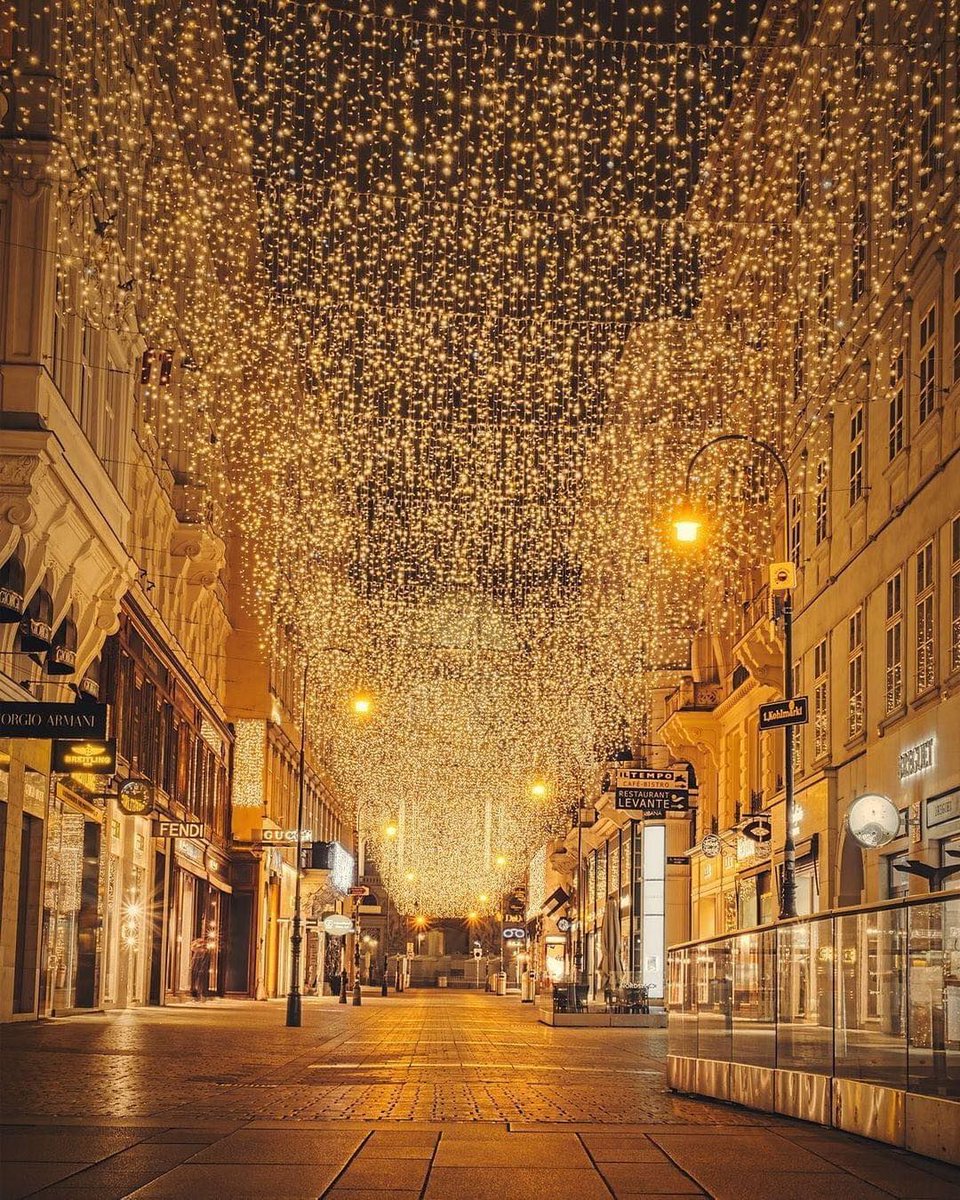 Christmas lights & the view Vienna, Austria ✨🖤   📸 depixtion
#vienna #wien #austria #sterreich #wienliebe #igersvienna #city #love #photography #viennanow #travel #art #igersaustria #viennagram #europe #visitvienna #photooftheday #viennaaustria #instagood #wienstagram