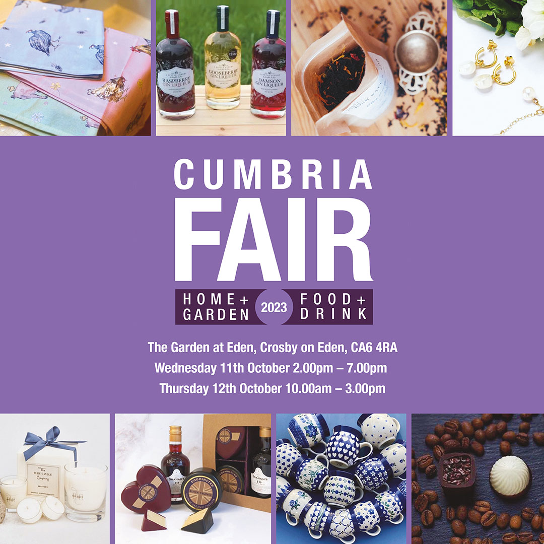 Lloyd Motor Group tweet media