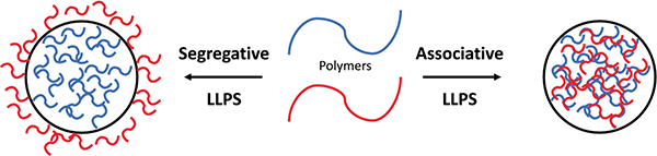 [ELSI Research Highlight] How membraneless compartments can teach us about the first cells on Earth elsi.jp/en/news_events…