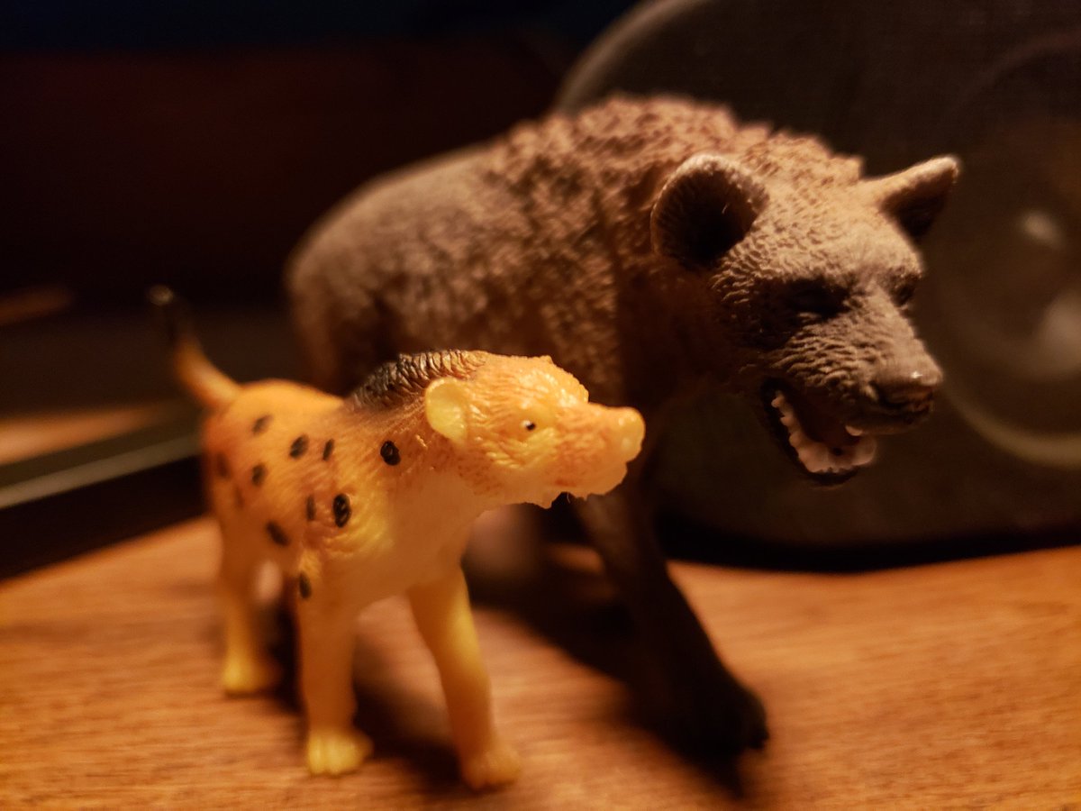 My desk yeens, the little one, left, gift from a friend, is named Eleven. Not because of the series, because they were on my desk at work, had two cash drawers, I would need $11 in change from A to B not having enough to buy from the other bank, I'd toss my desk yeen to remind me