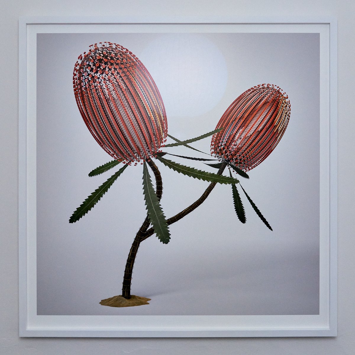 Jon McCormack tweet media