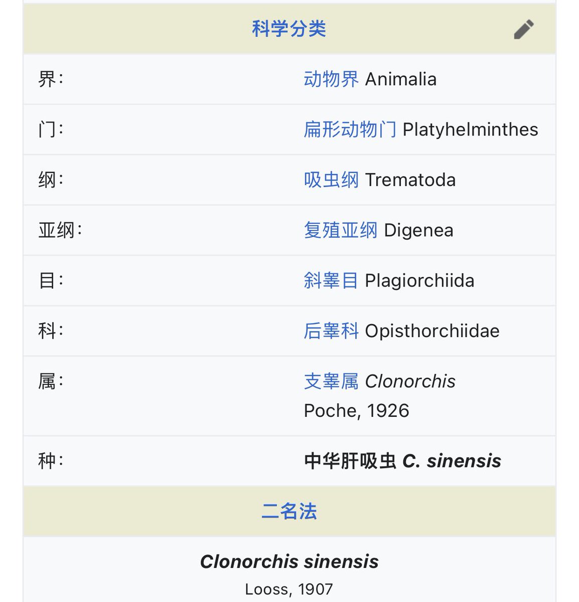 小泳 tweet media