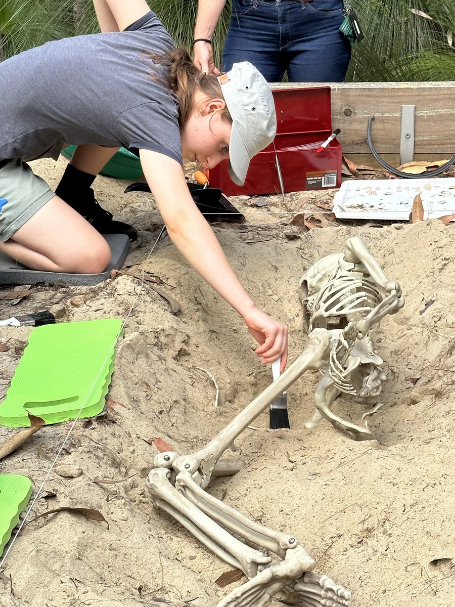 GU_ArchSoc's tweet photo. That's a wrap on T2 for GUAS! 
Thank you to everyone who came today and a massive thank you to Dr @PerstonYL for taking the time to share her knowledge and insight with us 🤗
Good luck with your final assessments/exams and stay tuned for the fun activities we have planned in T3💀 https://t.co/0jJqQbVS06