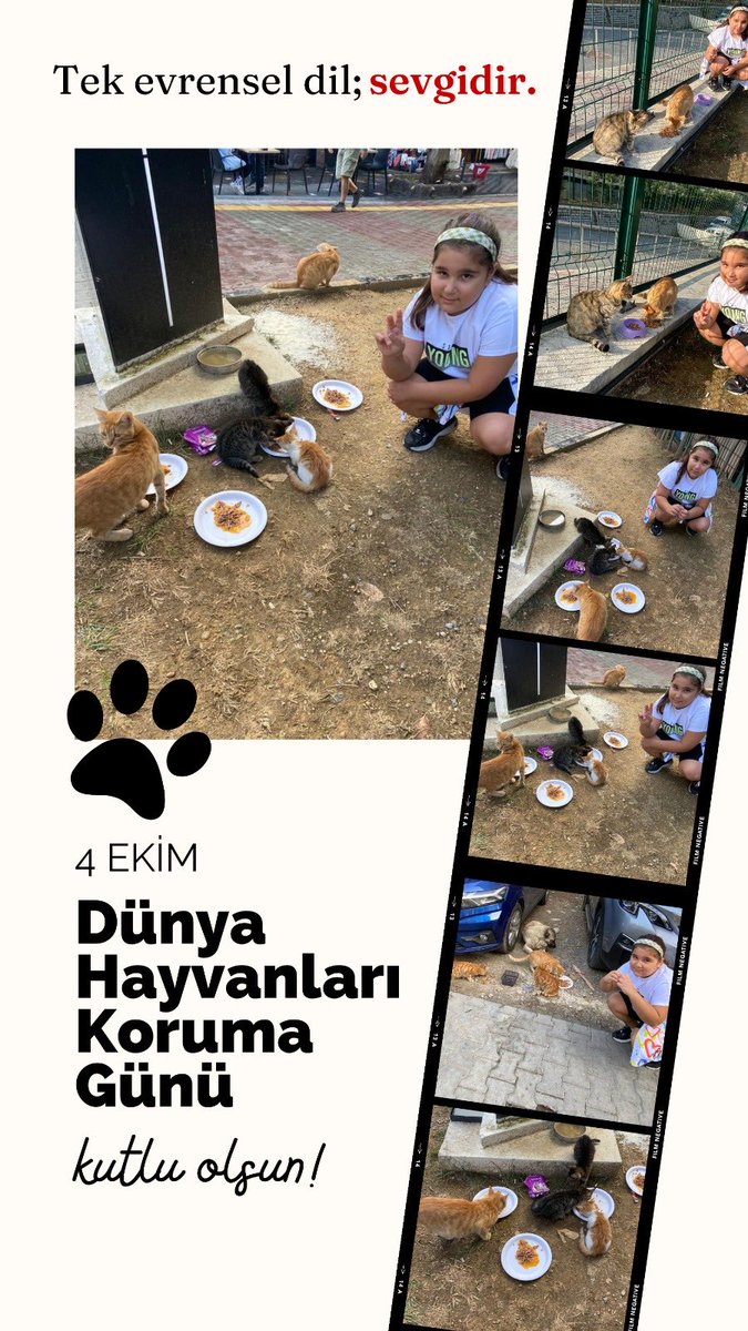 “BU GÜN DOSTLARIMIZI KORUMA GÜNÜ” minik bir dostumuzu doyurmaya ne dersiniz ? 🐱🐶