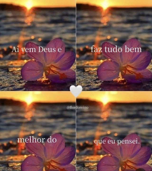 🌻｡
∴🦋　
　🌻*｡. 
　　🍂🦋
　 🌻*
     ･｡ 
        *･🦋🍂
         🌻.｡ 
      ｡🦋
°*🌻🍂｡
  🦋*.
ﾟ🌻.🍂
🦋🐞
      ღ⚘🌸🌻🦋🌹🍂#QuartaResgateSDV 
     𝄞 ╰❥🕊️ 🌻🦋🌹🌸
#QuartaEsquadraoSDV