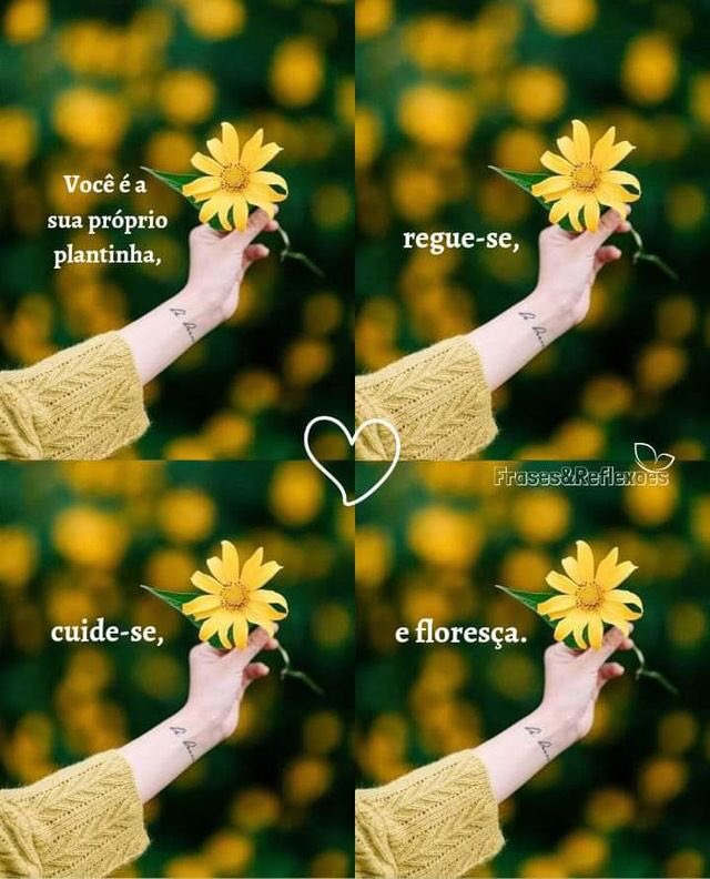 🌻｡
∴🦋　
　🌻*｡. 
　　🍂🦋
　 🌻*
     ･｡ 
        *･🦋🍂
         🌻.｡ 
      ｡🦋
°*🌻🍂｡
  🦋*.
ﾟ🌻.🍂
🦋🐞
      ღ⚘🌸🌻🦋🌹🍂#QuartaResgateSDV 
     𝄞 ╰❥🕊️ 🌻🦋🌹🌸
#QuartaCarpeDiemSDV