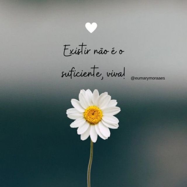 🌻｡
∴🦋　
　🌻*｡. 
　　🍂🦋
　 🌻*
     ･｡ 
        *･🦋🍂
         🌻.｡ 
      ｡🦋
°*🌻🍂｡
  🦋*.
ﾟ🌻.🍂
🦋🐞
      ღ⚘🌸🌻🦋🌹🍂#QuartaResgateSDV 
     𝄞 ╰❥🕊️ 🌻🦋🌹🌸
#QuartaCarpeDiemSDV
