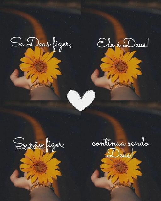 🌻｡
∴🦋　
　🌻*｡. 
　　🍂🦋
　 🌻*
     ･｡ 
        *･🦋🍂
         🌻.｡ 
      ｡🦋
°*🌻🍂｡
  🦋*.
ﾟ🌻.🍂
🦋🐞
      ღ⚘🌸🌻🦋🌹🍂#QuartaResgateSDV 
     𝄞 ╰❥🕊️ 🌻🦋🌹🌸
#QuartaCarpeDiemSDV