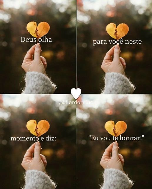 🌻｡
∴🦋　
　🌻*｡. 
　　🍂🦋
　 🌻*
     ･｡ 
        *･🦋🍂
         🌻.｡ 
      ｡🦋
°*🌻🍂｡
  🦋*.
ﾟ🌻.🍂
🦋🐞
      ღ⚘🌸🌻🦋🌹🍂#QuartaResgateSDV 
     𝄞 ╰❥🕊️ 🌻🦋🌹🌸
#QuartaLiberdadeNoSDV
