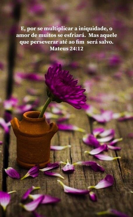 🌻｡
∴🦋　
　🌻*｡. 
　　🍂🦋
　 🌻*
     ･｡ 
        *･🦋🍂
         🌻.｡ 
      ｡🦋
°*🌻🍂｡
  🦋*.
ﾟ🌻.🍂
🦋🐞
      ღ⚘🌸🌻🦋🌹🍂#QuartaResgateSDV 
     𝄞 ╰❥🕊️ 🌻🦋🌹🌸