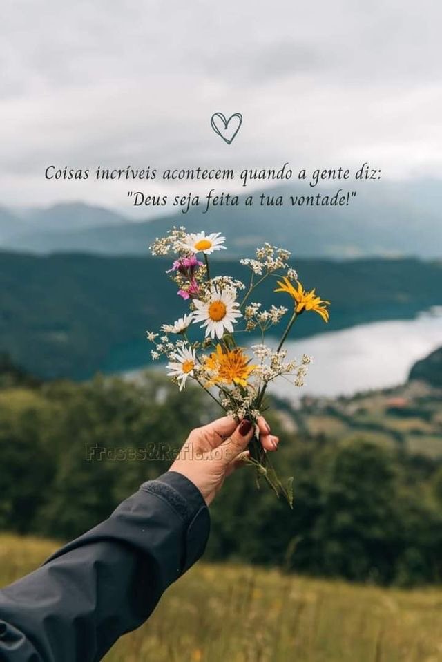 🌻｡
∴🦋　
　🌻*｡. 
　　🍂🦋
　 🌻*
     ･｡ 
        *･🦋🍂
         🌻.｡ 
      ｡🦋
°*🌻🍂｡
  🦋*.
ﾟ🌻.🍂
🦋🐞
      ღ⚘🌸🌻🦋🌹🍂#QuartaResgateSDV 
     𝄞 ╰❥🕊️ 🌻🦋🌹🌸