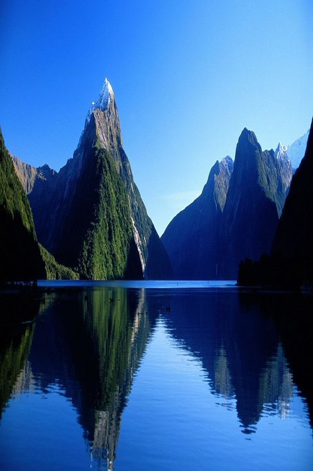 shining_phan's tweet photo. Milford Sound, New Zealand https://t.co/UBVdSg07BE