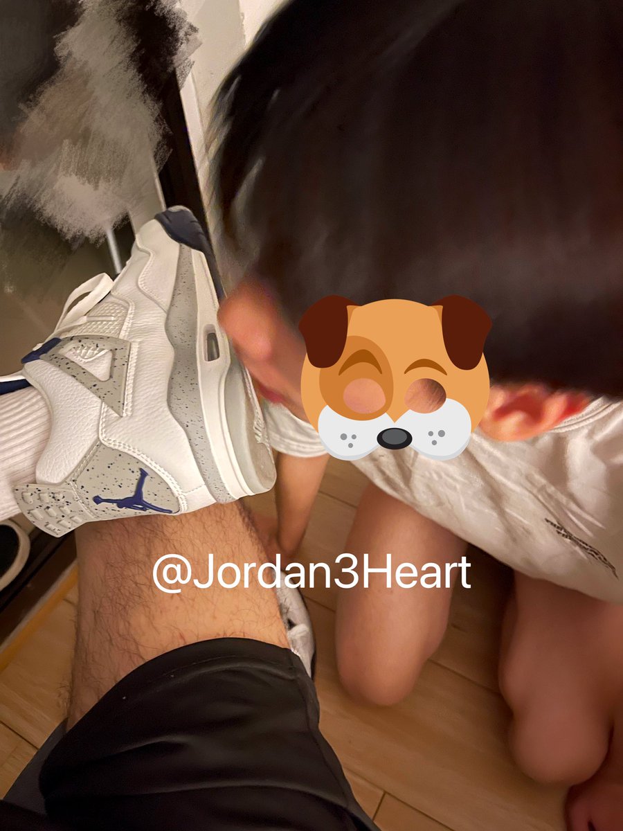 Jordan3Heart's tweet photo. #鞋刷 就喜欢看贱狗无脑的样子 https://t.co/cT1xrqqVc1