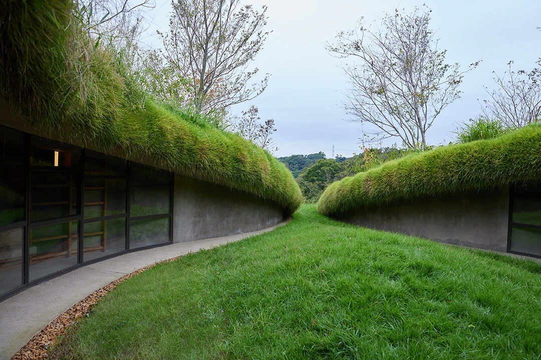 flower_journal's tweet photo. 千葉県木更津市の森の地中に「農夫の本棚」をイメージした「地中図書館」 https://t.co/po5pzATKEU 
#KURKKUFIELDS #地中図書館 #木更津 #フラワージャーナル #flowerjournal #クルックフィールズ https://t.co/LzAJ3tRqeN