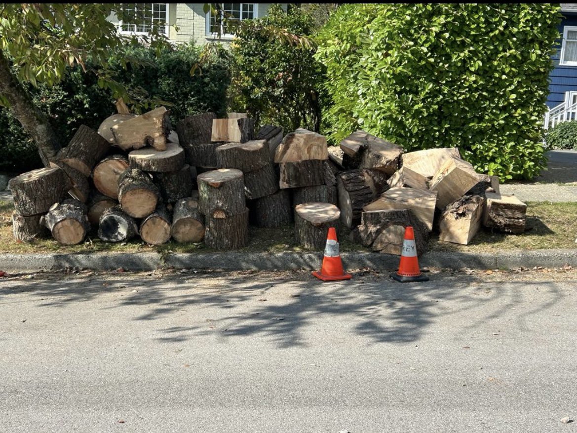 J L Safronick tweet media