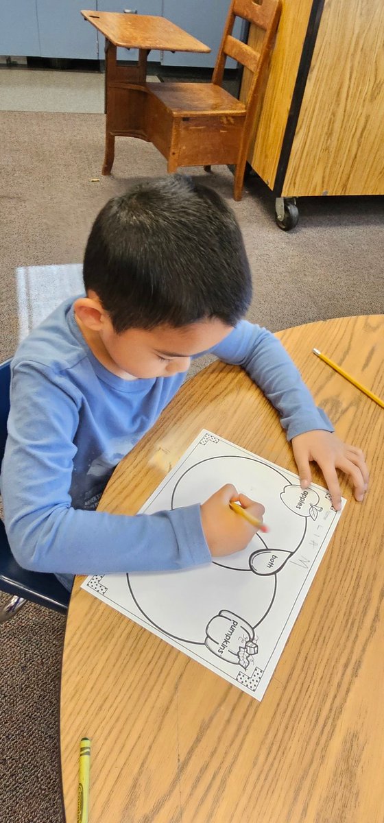 collegewood_el's tweet image. Mrs. Garcia&apos;s kinders using a graphic organizer to compare and contrast pumpkins 🎃 and apples 🍎. #developingmindsnurturinghearts