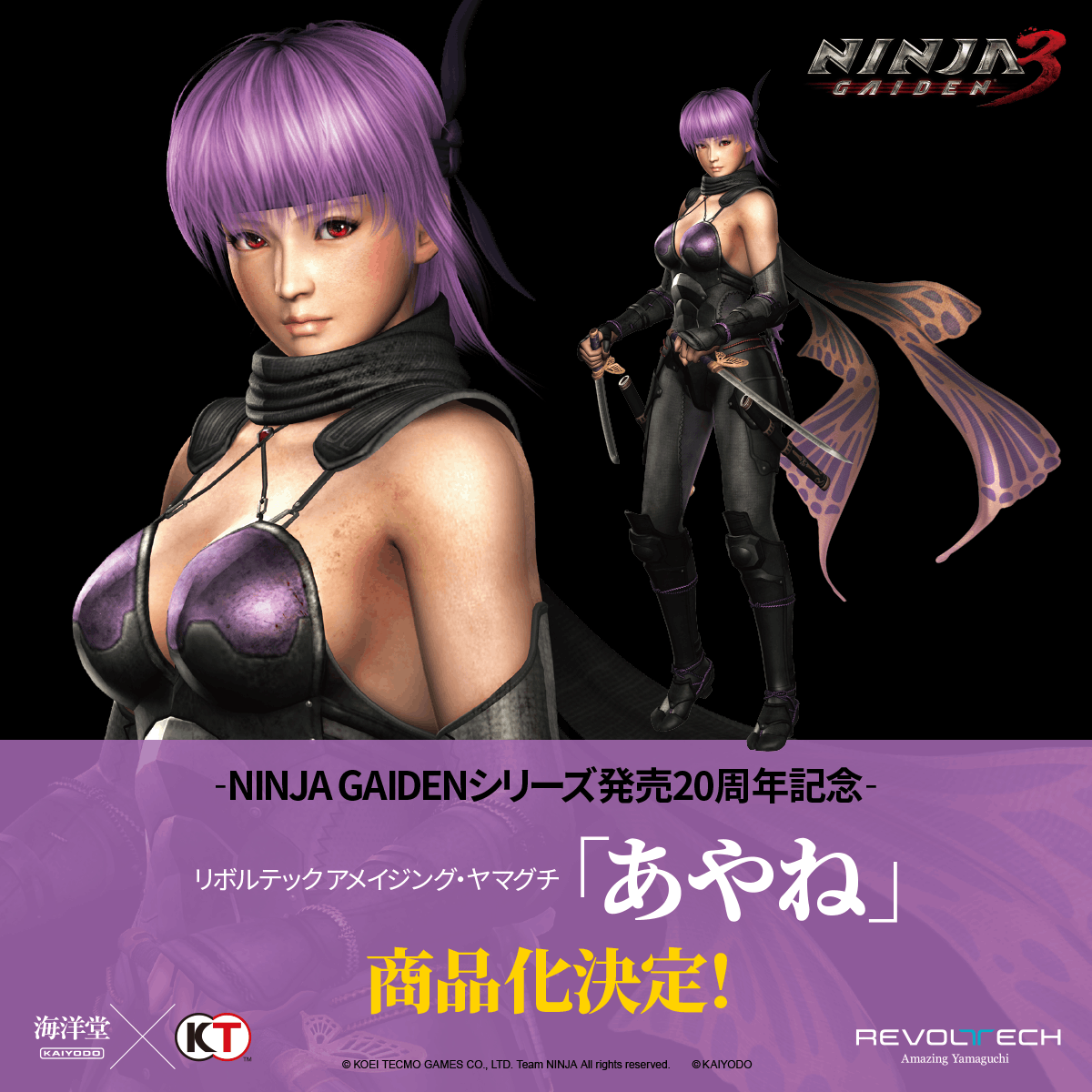 アメイジング・ヤマグチ リュウ・ハヤブサ 『NINJA 🍂 GAIDEN 3