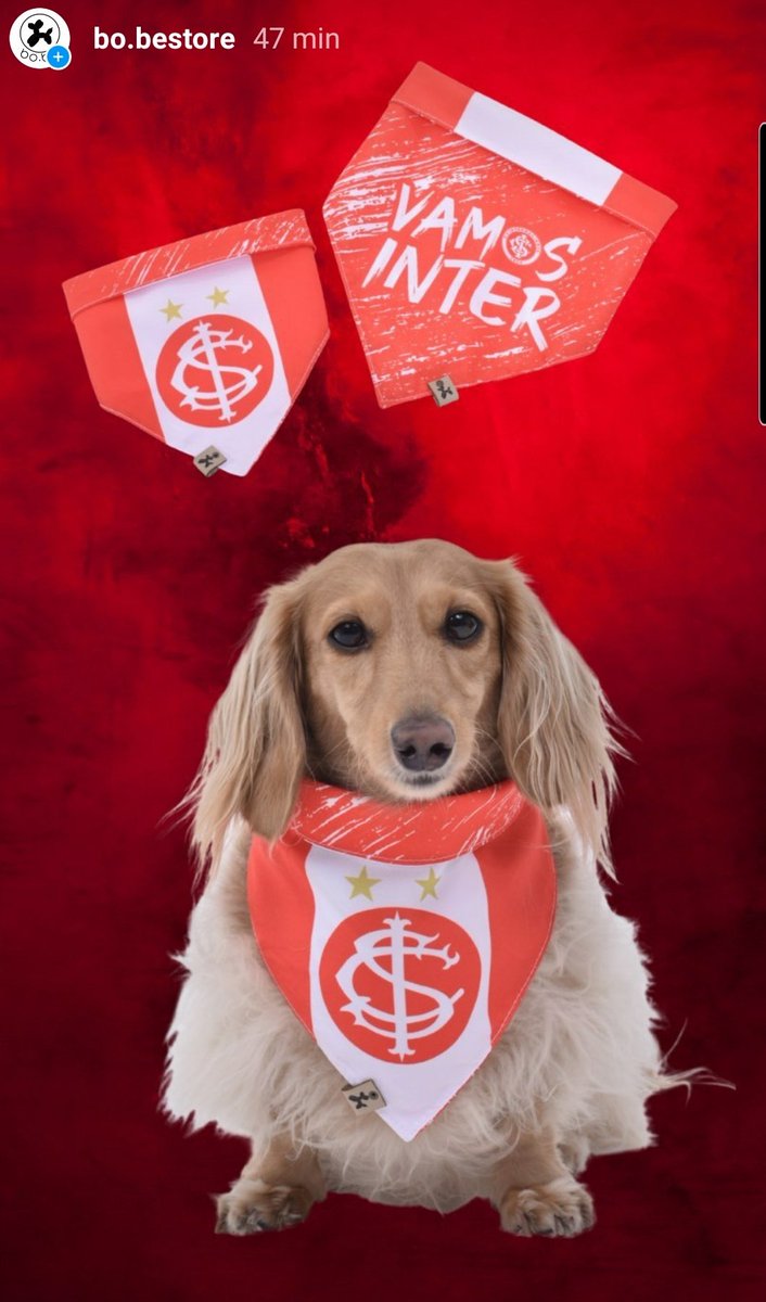 BoBe_Store's tweet photo. @SCInternacional Não tem como não ser nosso !! https://t.co/EG2ai4MVYQ