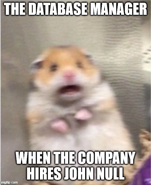 sanitizeInputsAndHamsterCage reddit.com/r/programmerhu…