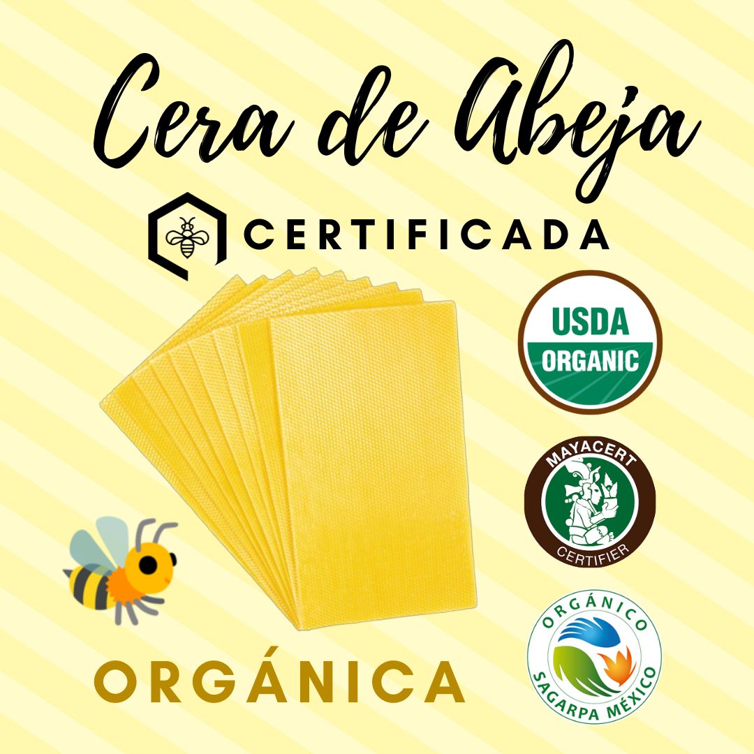 abejaorganic's tweet photo. Cera de abeja en laminas con estampado de hexágonos🟨🐝
Ideal para velas, madera, cosméticos, apicultura, etc.
Medidas: 41.5x20 y 41.5x25 cm
¡Certificado orgánico USDA y SAGARPA! 🌼🌺🌵
PRECIOS 2023
$380 el kilogramo (10 laminas aprox.)
30% de descuento de 10 kilos en adelante https://t.co/df3ia2FqnR
