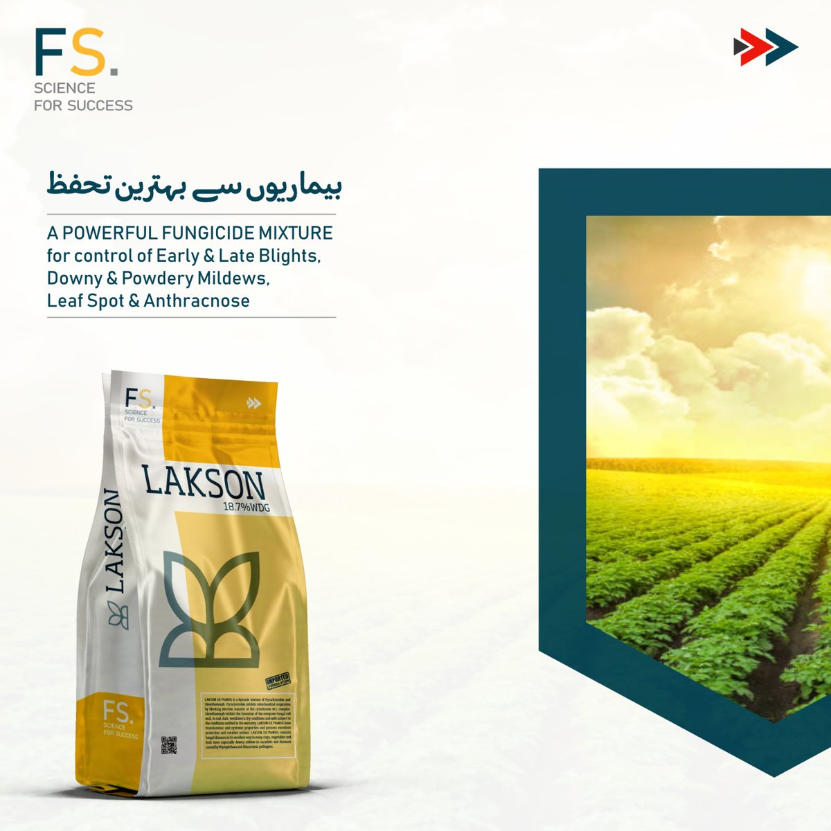 fertiscience's tweet photo. #LAKSON
لیکسن
اب نئی پیکنگ میں دستیاب ھے
A powerful fungicide mixture for control of Early & Late Blights, Downy & Powdery Mildews, Leaf Spot & Anthracnose.
#FertiDiamonds
#fungicide #BroadSpectrum
#fertiscience #FS. #ScienceForSuccess
#westweygroup https://t.co/ZXsFuN7mAg