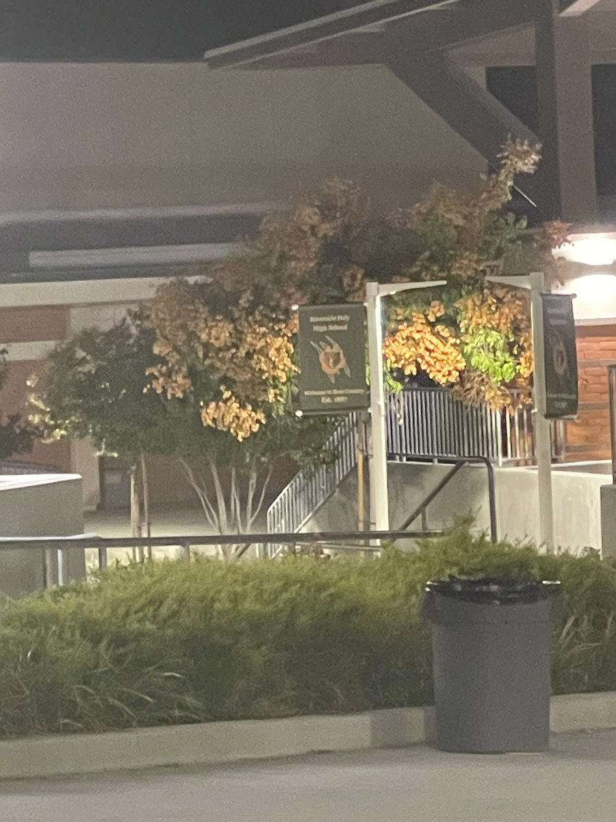 HansenDarel's tweet photo. @RiversidePolyHS 
Love this time of the year, even the trees are green and orange! https://t.co/XMli4ggvPO