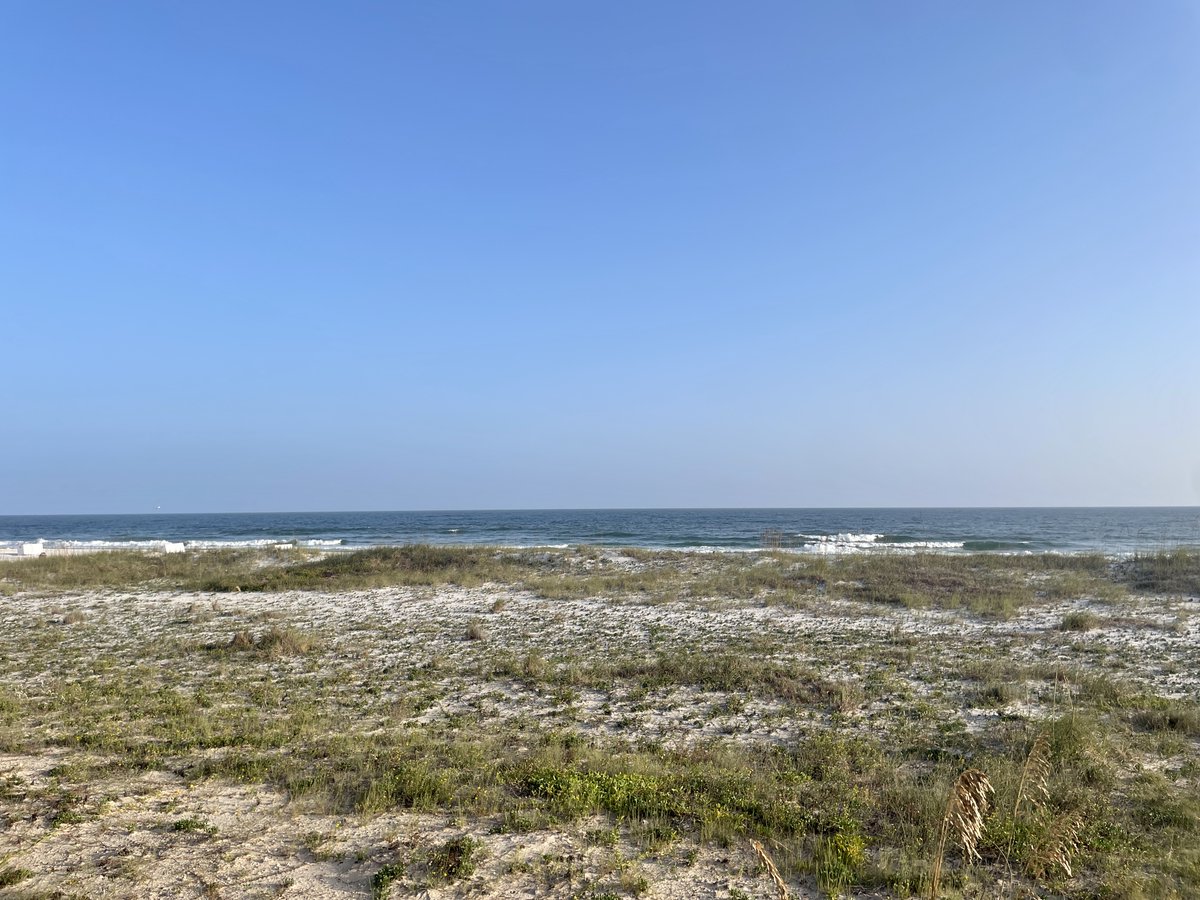 STravelersExp's tweet image. We're spending the next few days in Gulf Shores and Orange Beach, Alabama working on plans for #STEAlabamaBeaches! 

@VisitALBeaches #ALBeachBlogger #VisitALBeaches