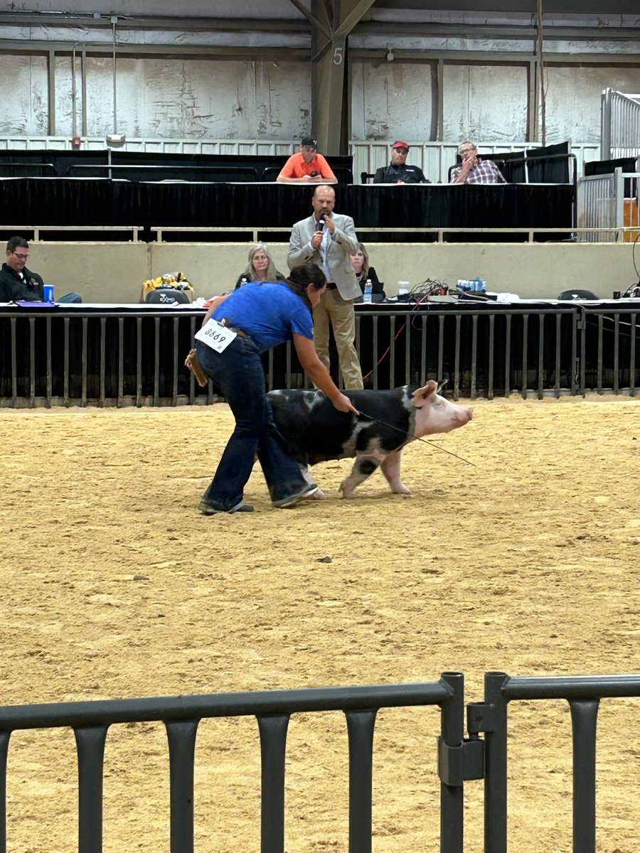 CentralHighFFA1's tweet photo. Maci Brown had the Breed Champion Spot Barrow at the Tulsa State Fair https://t.co/4OX1zKghoL