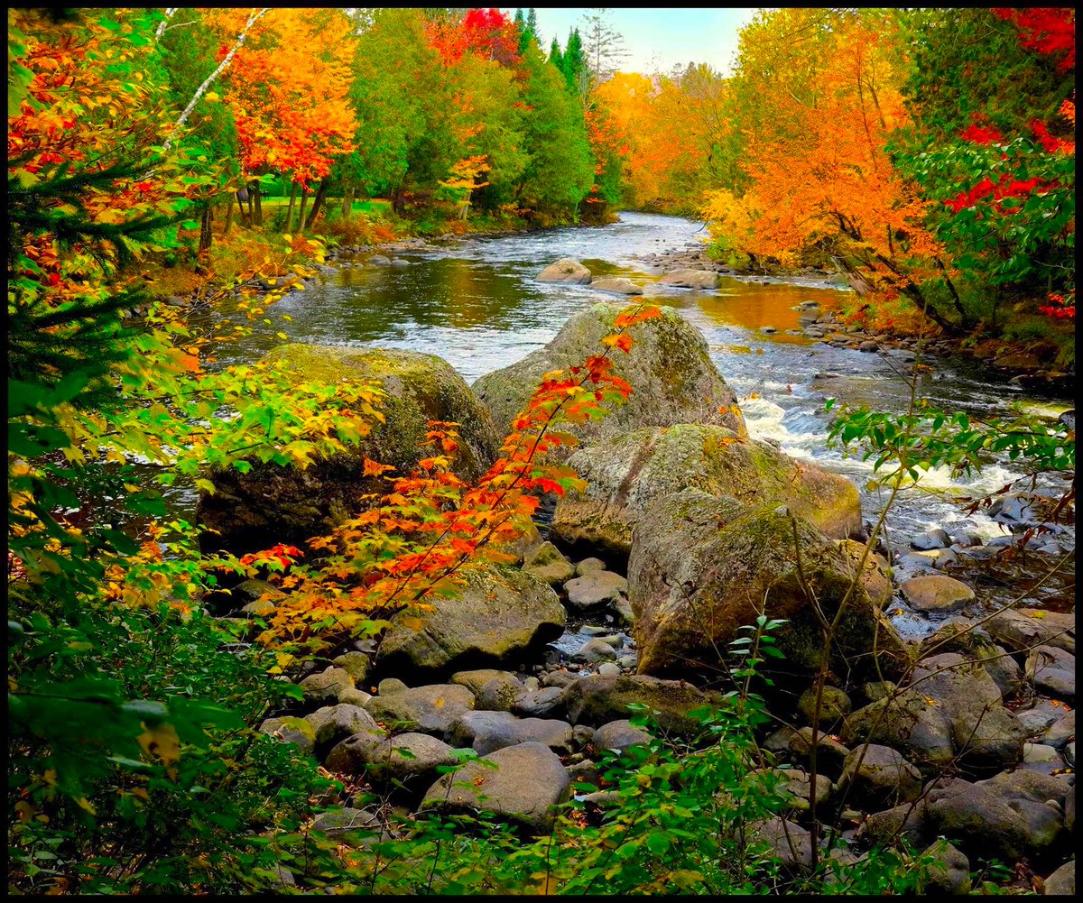 GinaEllis4's tweet photo. Algis Thomas Kemezys - The fall colours along the North River, Sainte Adele.
#sainteadele #northriver #fallseason #fallcolors https://t.co/HJA1AvYqxx