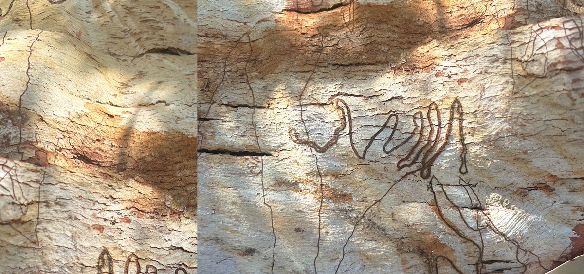 Humanities Research Centre, ANU tweet media