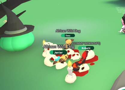 StinkyHoney's tweet photo. getting ready for the amazing #halloween update arriving soon in @PlayAdoptMe >:) (TW?: blood) 

#adoptme #adoptmebuilding https://t.co/DPQV8YWJsr
