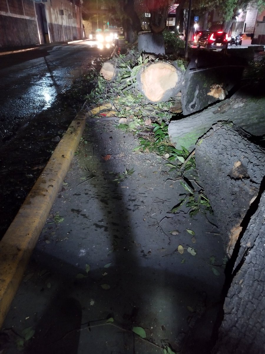 <a href="/GobNau/">Ciudad Naucalpan / Gobierno Municipal 2025-2027.</a> <a href="/angiemoyam/">Angélica Moya</a> ciclovía metropolitana no es lugar para colocar árbol caído 

<a href="/DanielSibaja_/">Daniel Sibaja</a> <a href="/SEMOV_Edomex/">Secretaría de Movilidad GEM</a> <a href="/CicloviaMetro/">Ciclovia Metropolitana</a>