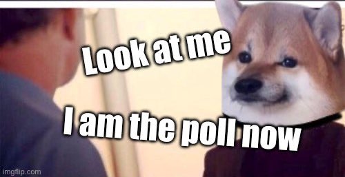 Poll time!