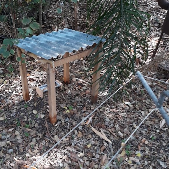 Bob Bruce tweet media