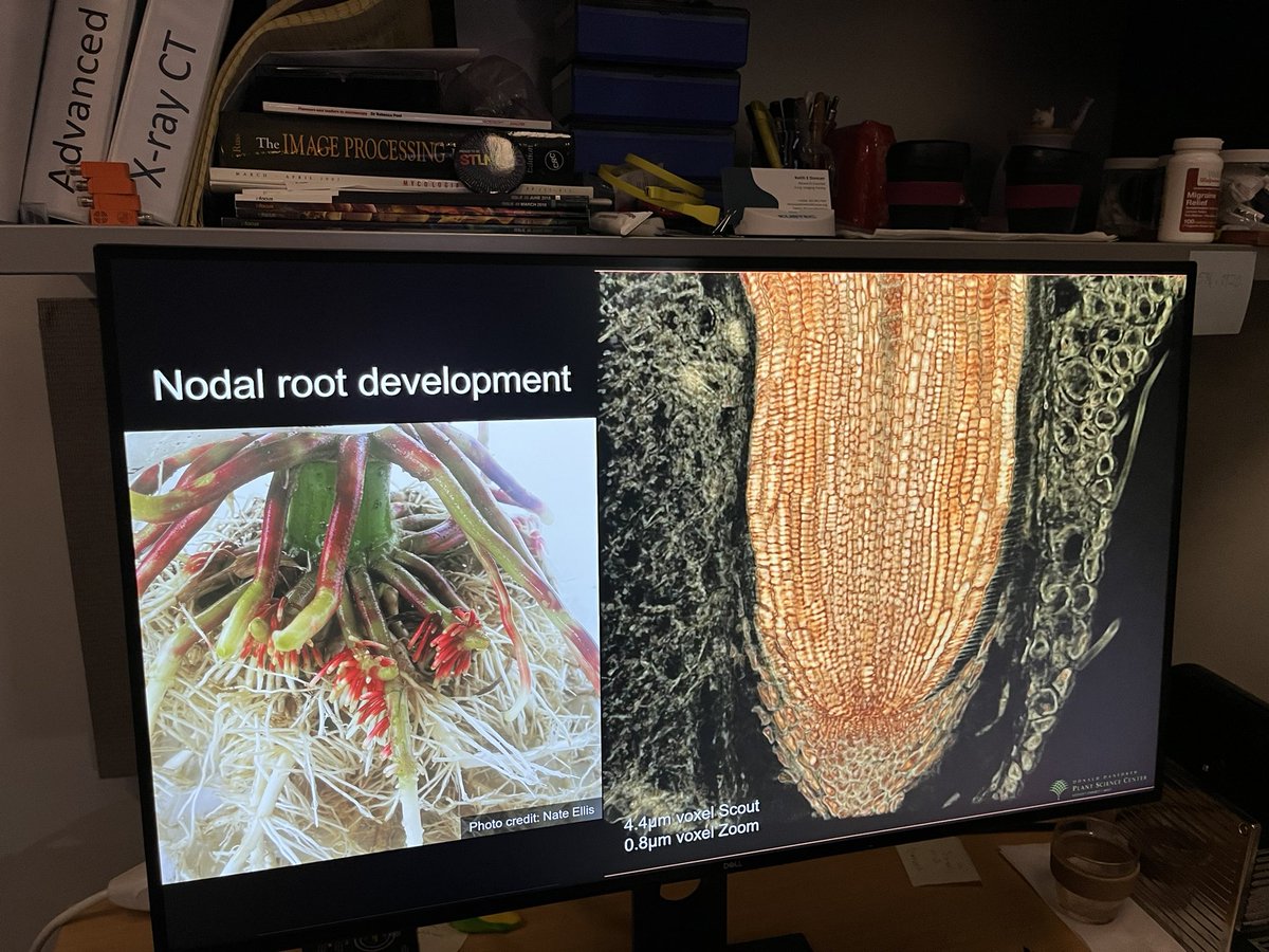 Yusaku UGA / 宇賀優作 tweet media