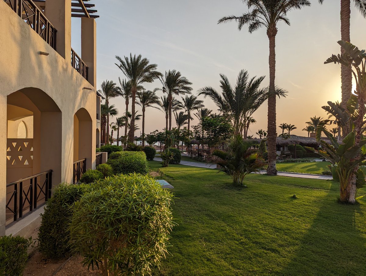 Philipp Saedler tweet media