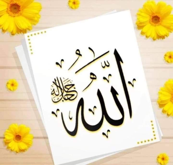 ہزار رستے، لاکھوں دّر، کتنے لوگ، بہت سی راہیں۔۔۔

مگر جب اللہ ساتھ نہ ہو تو بخدا کوئی ساتھ نہیں، کوئی ہاتھ نہیں، کوئی منزل نہیں اور کہیں آسرا نہیں۔

 کیونکہ اوّل و آخر سہارا تو صرف اللہ ہی کا ہے۔
اسلام وعلیکم 💮
صبح بخیر 😇

#___Heer🥀🕊️🖤